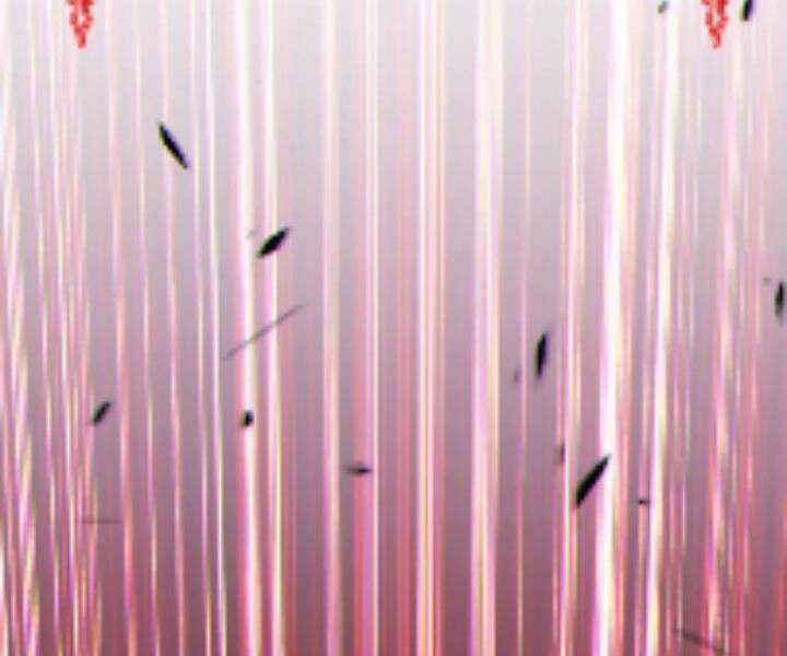 Gậy Gỗ Cấp 99+ Chapter 10.5 trang 284