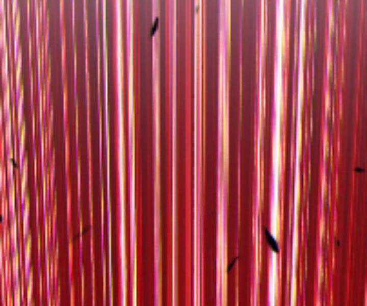 Gậy Gỗ Cấp 99+ Chapter 10.5 trang 285