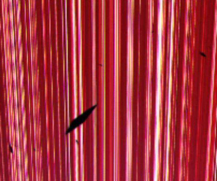 Gậy Gỗ Cấp 99+ Chapter 10.5 trang 286