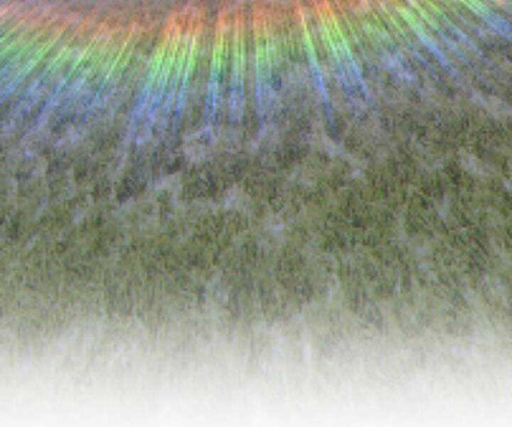 Gậy Gỗ Cấp 99+ Chapter 10.5 trang 292