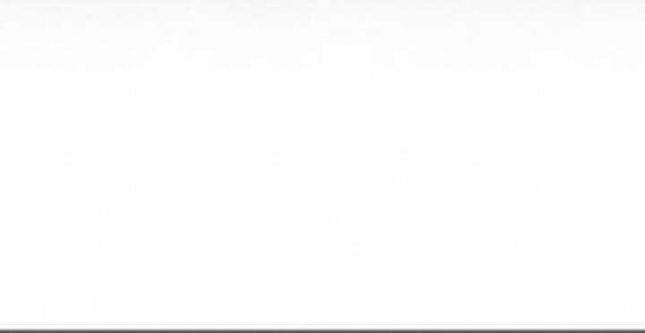 Gậy Gỗ Cấp 99+ Chapter 10.5 trang 293