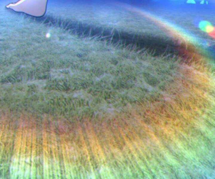 Gậy Gỗ Cấp 99+ Chapter 10.5 trang 308