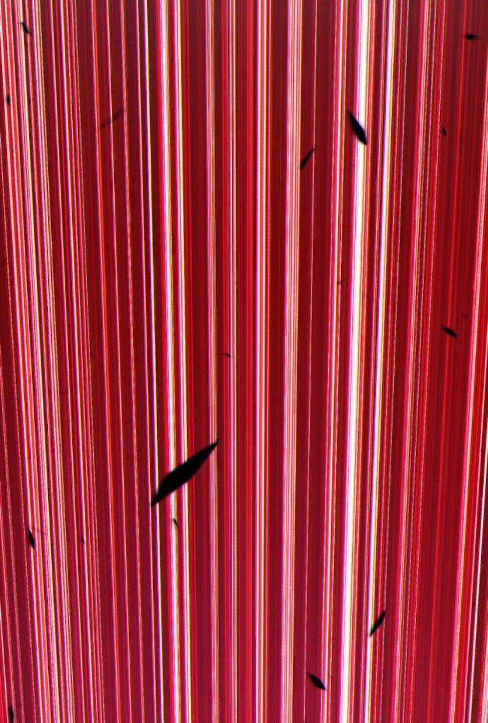 Gậy Gỗ Cấp 99+ Chapter 11 trang 13