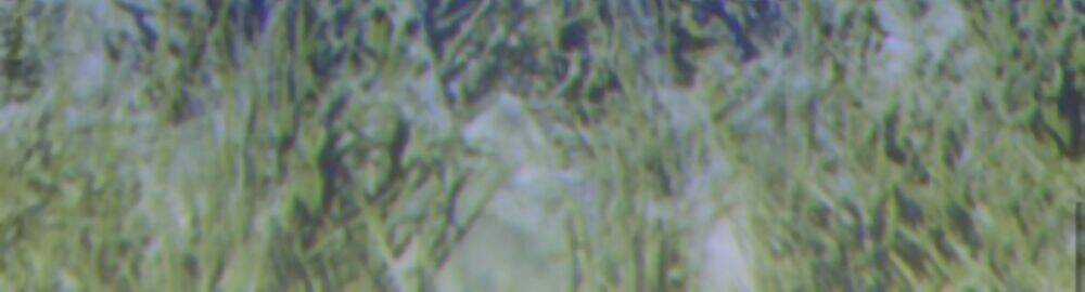 Gậy Gỗ Cấp 99+ Chapter 11 trang 27