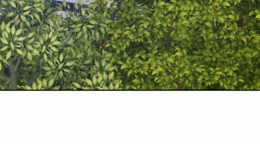 Gậy Gỗ Cấp 99+ Chapter 12.5 trang 134