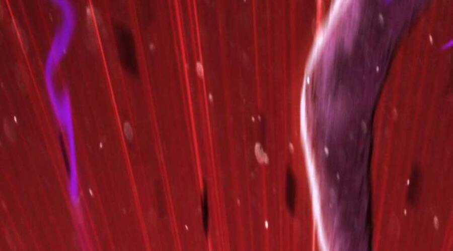 Gậy Gỗ Cấp 99+ Chapter 12.6 trang 111