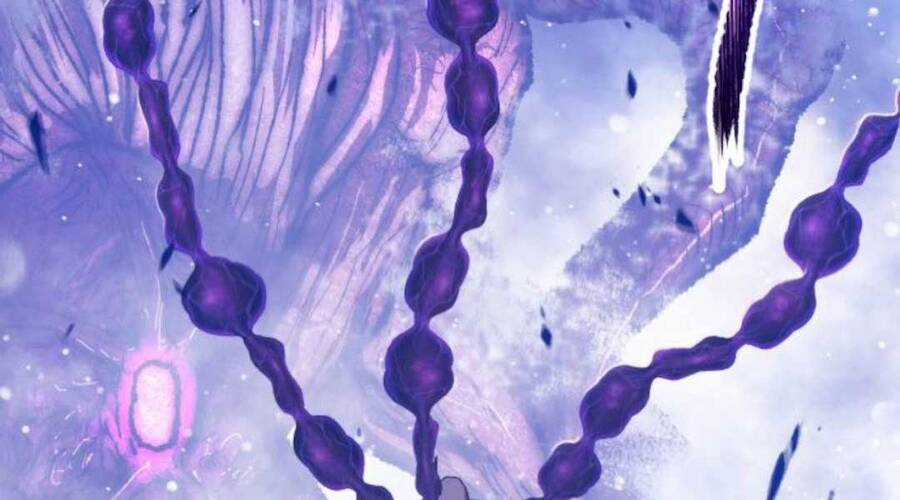 Gậy Gỗ Cấp 99+ Chapter 12.6 trang 159