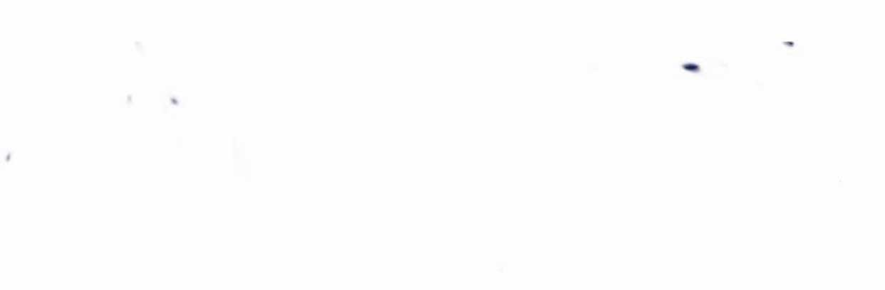 Gậy Gỗ Cấp 99+ Chapter 12 trang 114