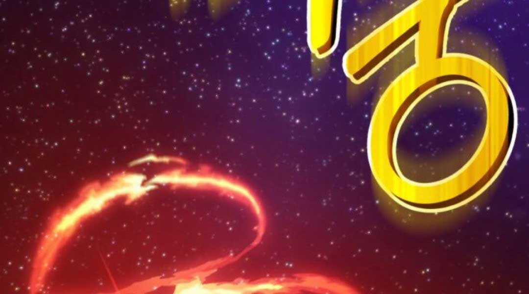 Gậy Gỗ Cấp 99+ Chapter 12 trang 219