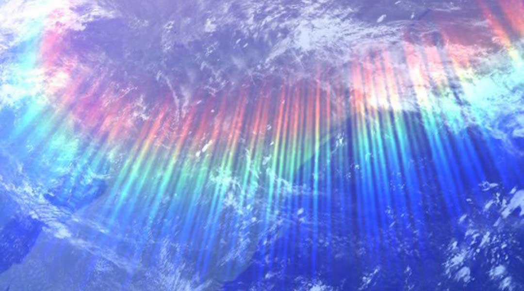 Gậy Gỗ Cấp 99+ Chapter 12 trang 222