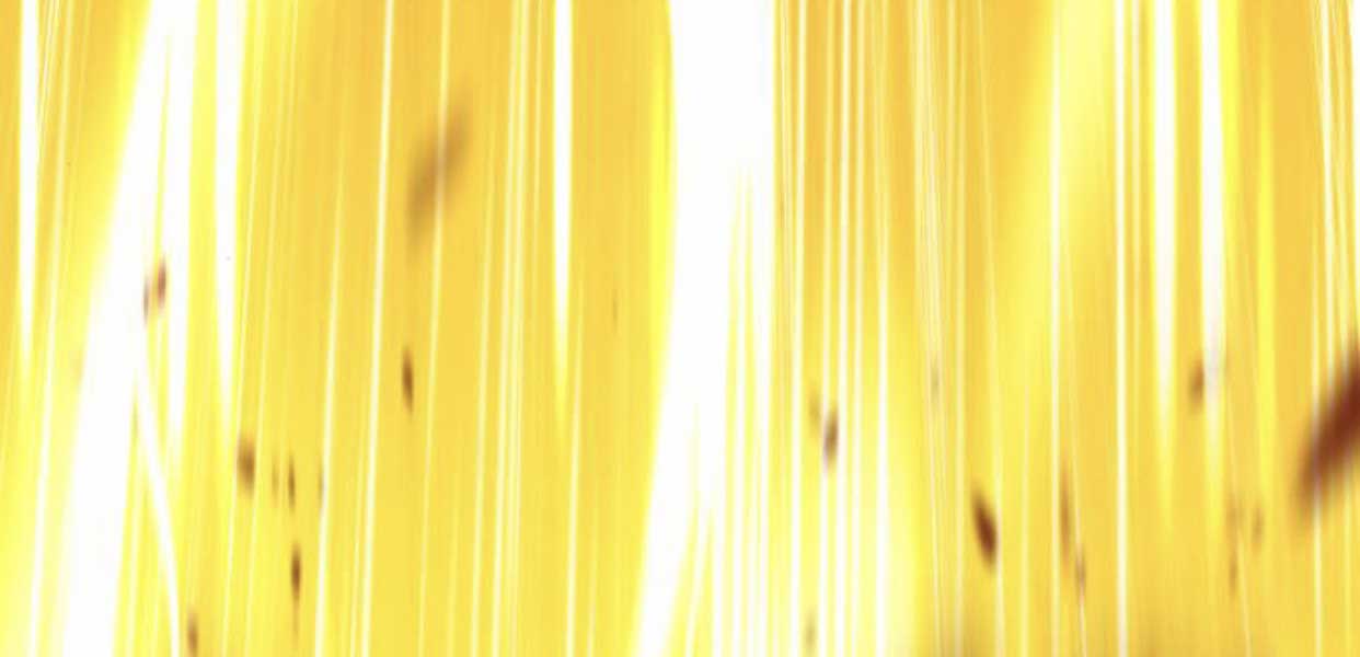 Gậy Gỗ Cấp 99+ Chapter 12 trang 76