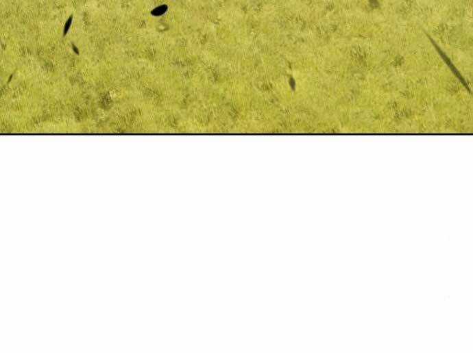 Gậy Gỗ Cấp 99+ Chapter 15.5 trang 180