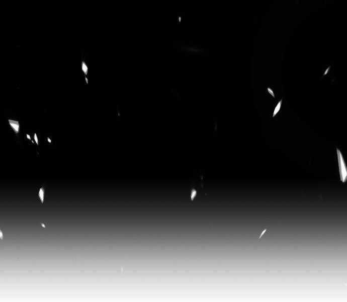 Gậy Gỗ Cấp 99+ Chapter 15.5 trang 239