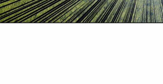 Gậy Gỗ Cấp 99+ Chapter 15.5 trang 33