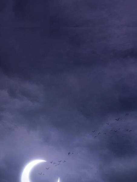 Gậy Gỗ Cấp 99+ Chapter 2.1 trang 87