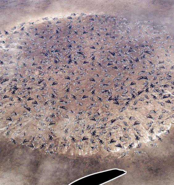 Gậy Gỗ Cấp 99+ Chapter 3.1 trang 188