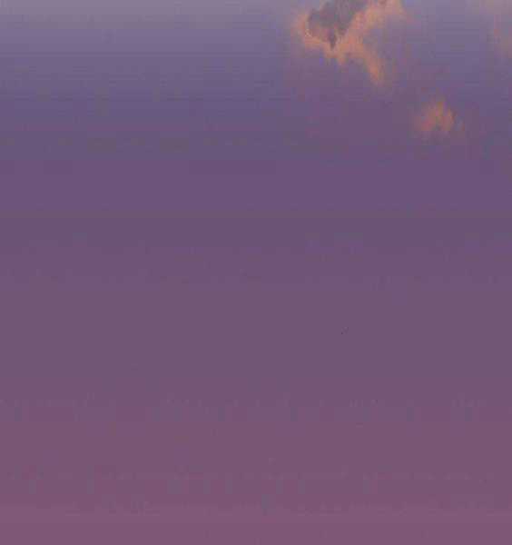 Gậy Gỗ Cấp 99+ Chapter 3.5 trang 126