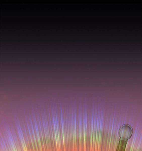 Gậy Gỗ Cấp 99+ Chapter 3.5 trang 165