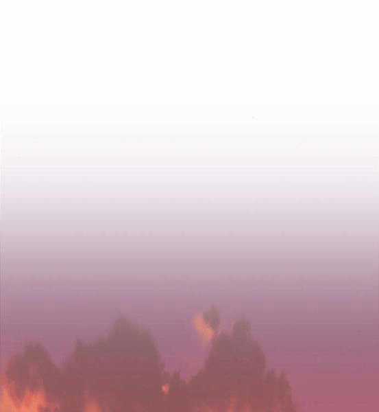 Gậy Gỗ Cấp 99+ Chapter 4.1 trang 19