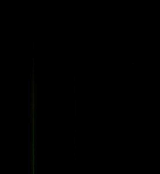 Gậy Gỗ Cấp 99+ Chapter 4.5 trang 46