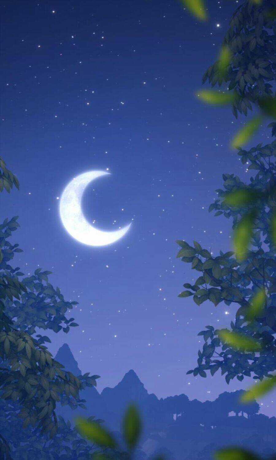 Gậy Gỗ Cấp 99+ Chapter 8.5 trang 22