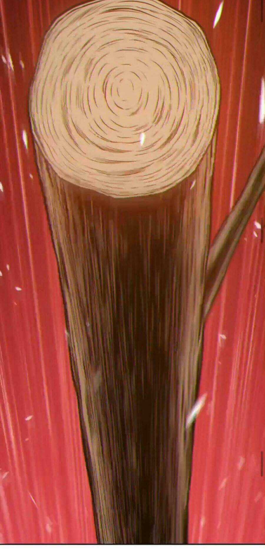 Gậy Gỗ Cấp 99+ Chapter 9.5 trang 13