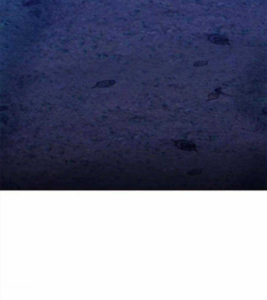 Gậy Gỗ Cấp 99+ Chapter 9 trang 11