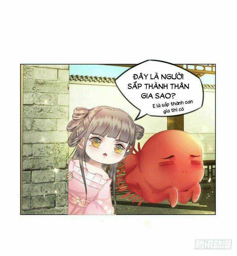 Gay Rồi! Cái Đó Thành Tinh Rồi Chapter 40 trang 13