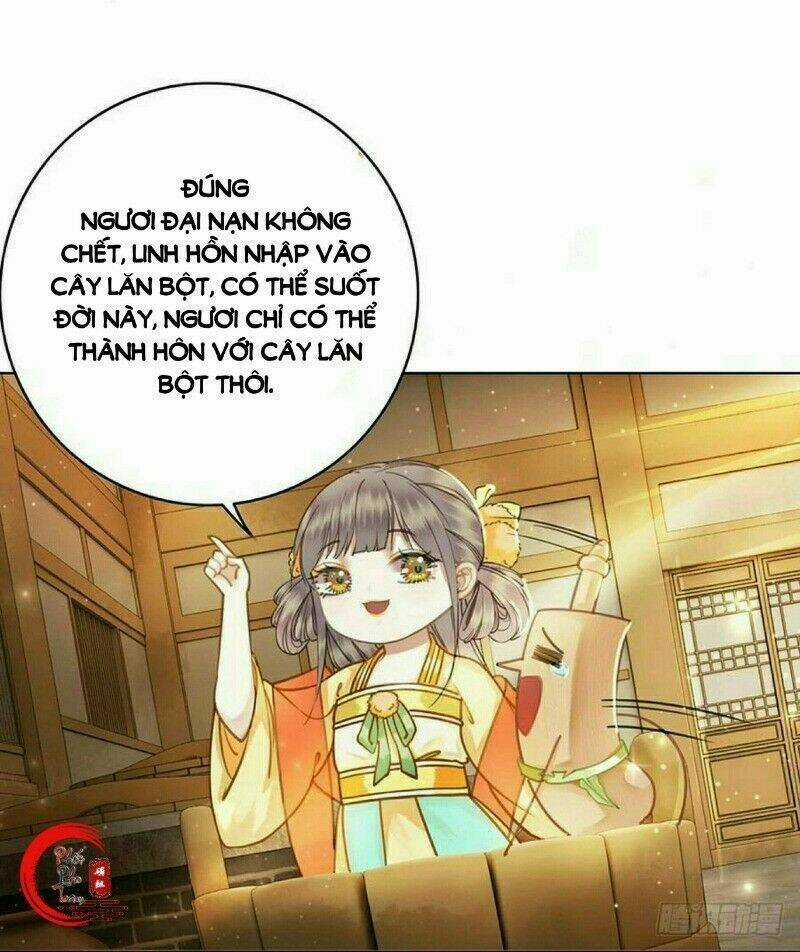 Gay Rồi! Cái Đó Thành Tinh Rồi Chapter 50 trang 28