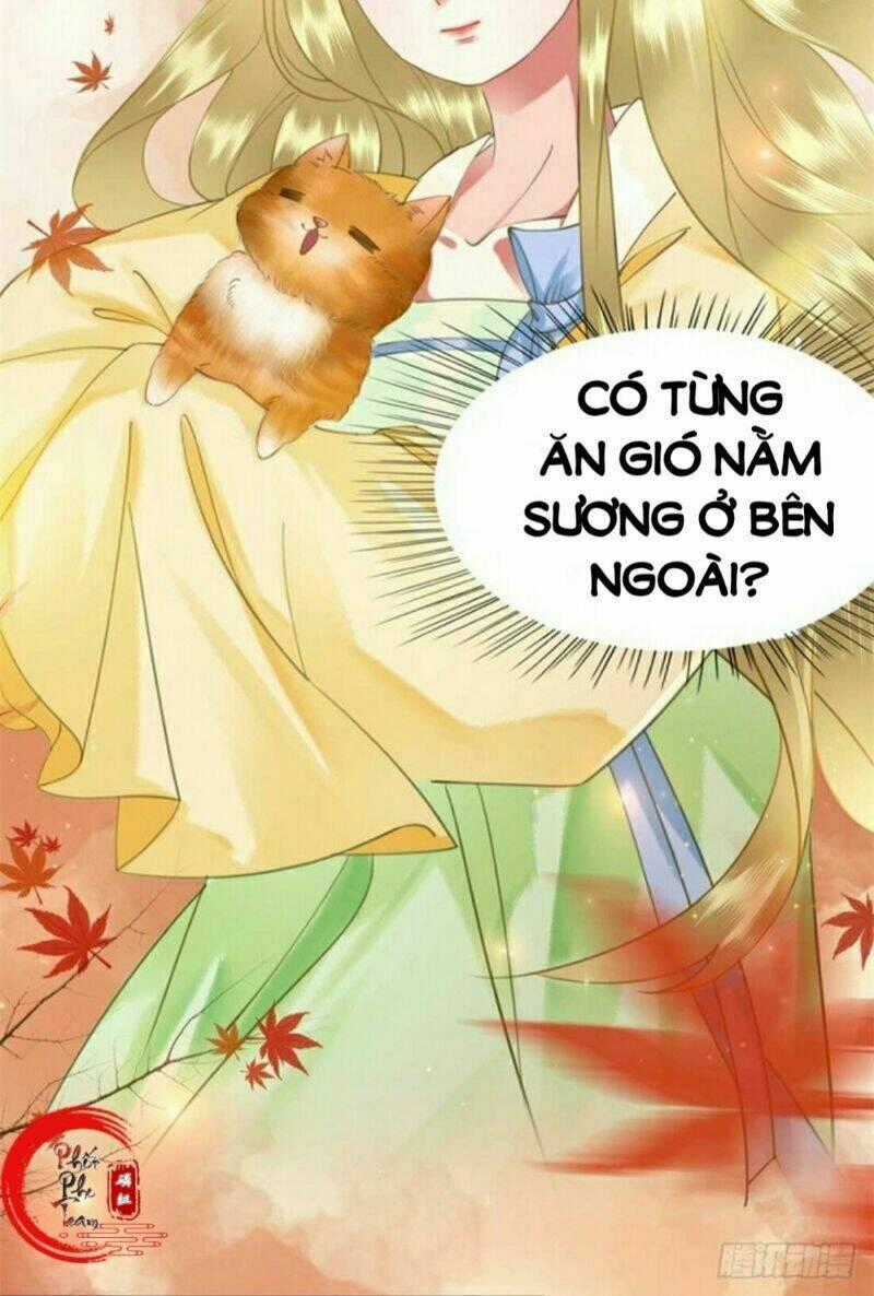 Gay Rồi! Cái Đó Thành Tinh Rồi Chapter 52 trang 56