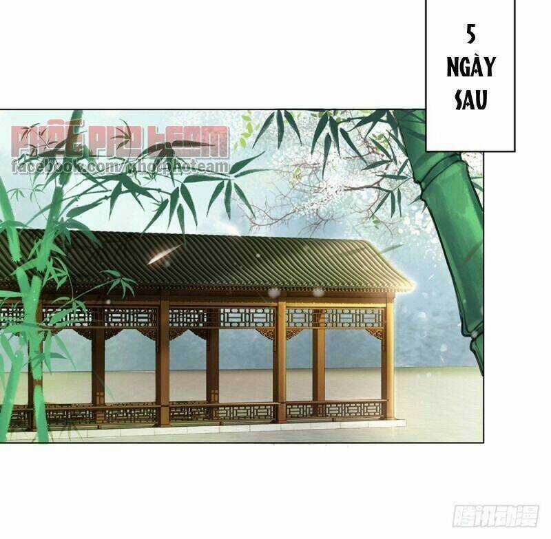 Gay Rồi! Cái Đó Thành Tinh Rồi Chapter 59 trang 14