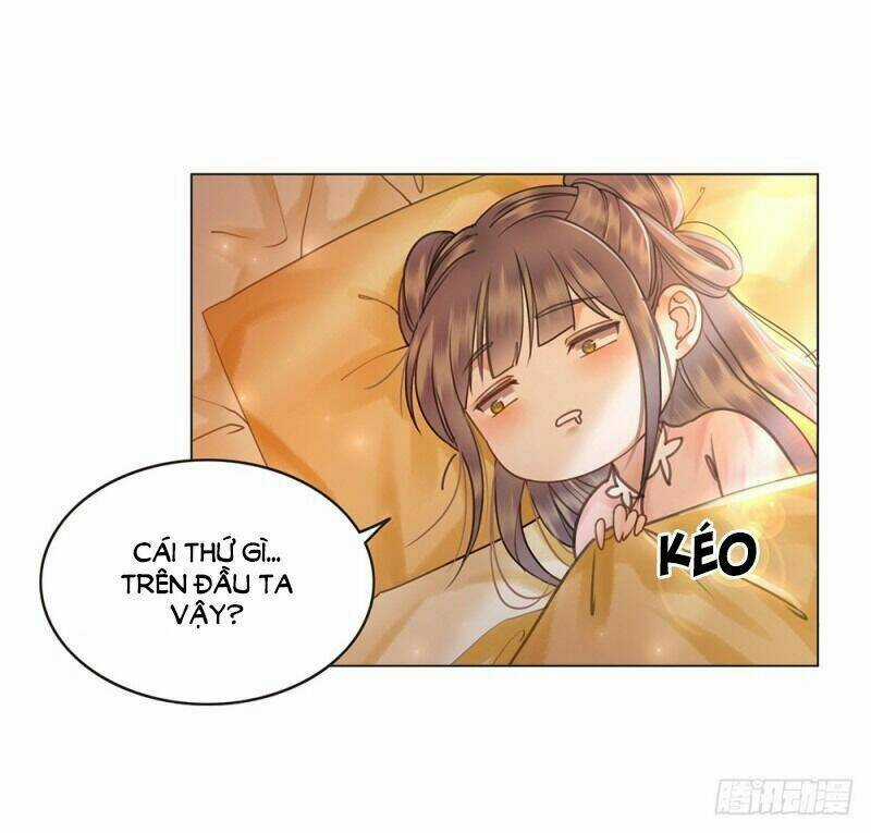 Gay Rồi! Cái Đó Thành Tinh Rồi Chapter 59 trang 17