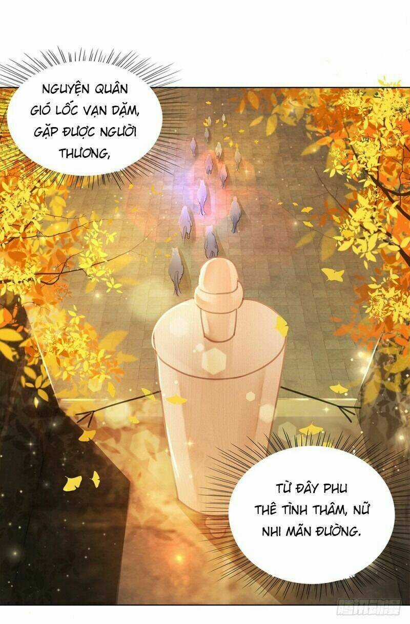 Gay Rồi! Cái Đó Thành Tinh Rồi Chapter 59 trang 40