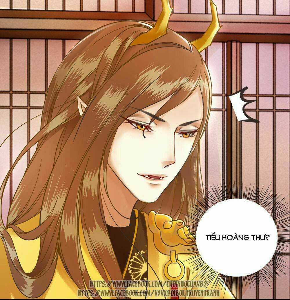 Gay Rồi! Cái Đó Thành Tinh Rồi Chapter 7 trang 12