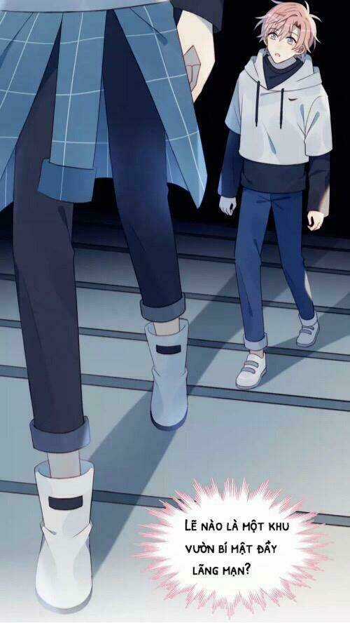 Gay Rồi! Tôi Và Antifan Hoán Đổi Linh Hồn Rồi. Chapter 12 trang 14