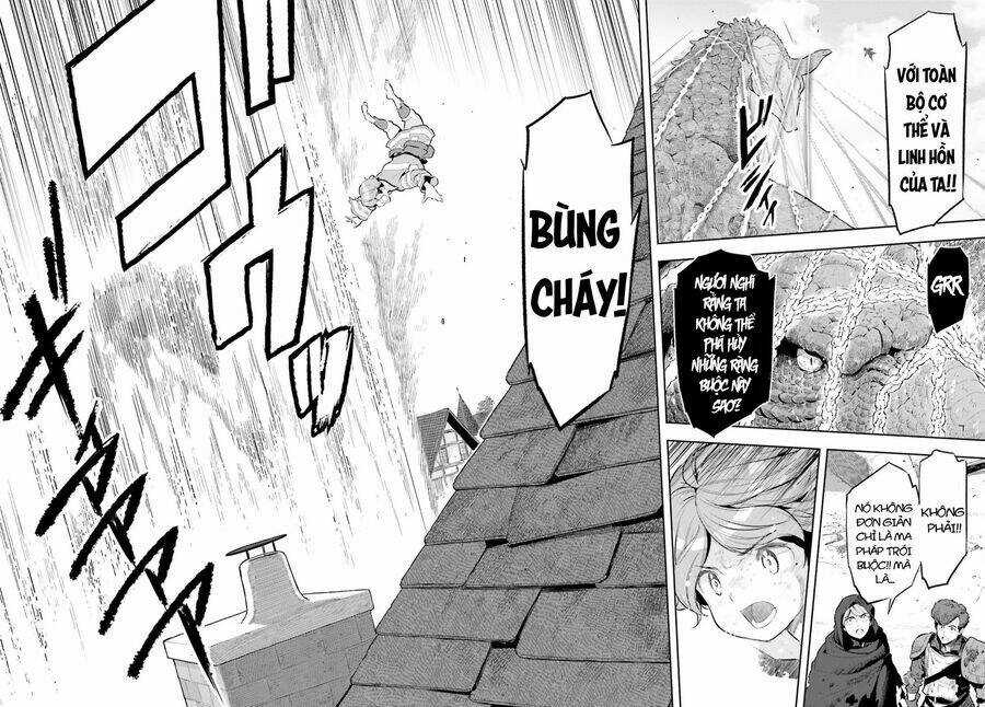 Genkai Koe No Tenpu Wa, Tensei-Sha Ni Shika Atsukaenai Chapter 11 trang 17