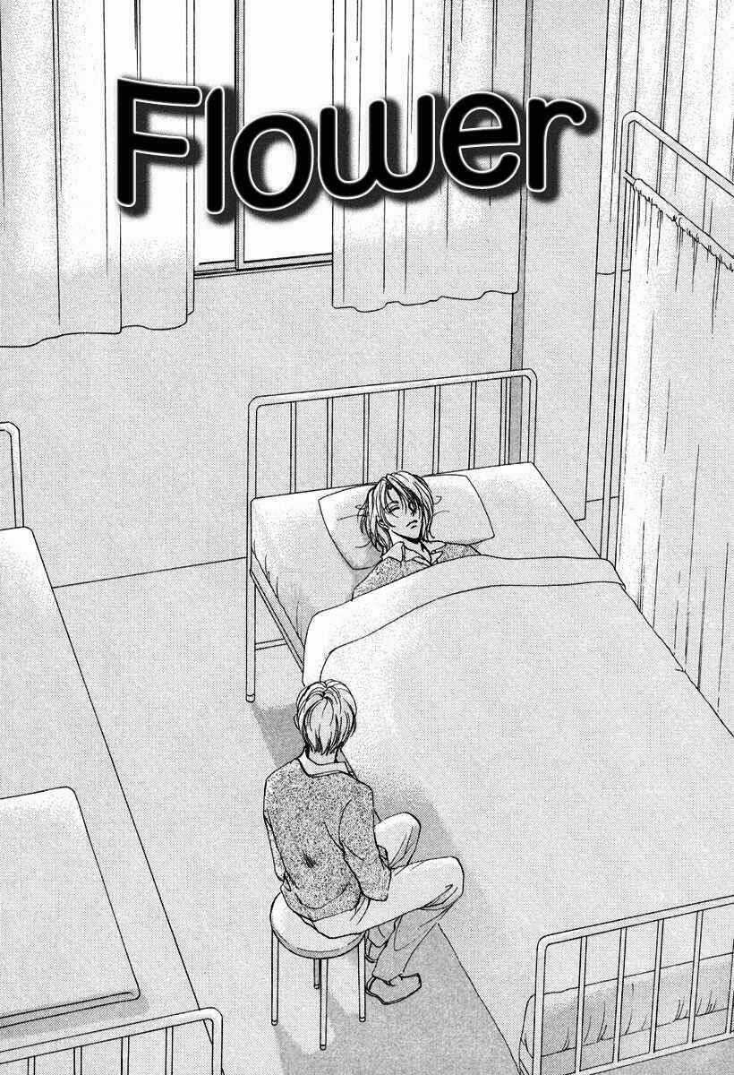 Gerbera Chapter 6 trang 4