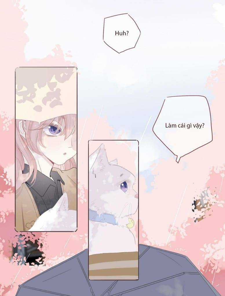 Ghi Chú Hoa Anh Đào Chapter 0.5 trang 5