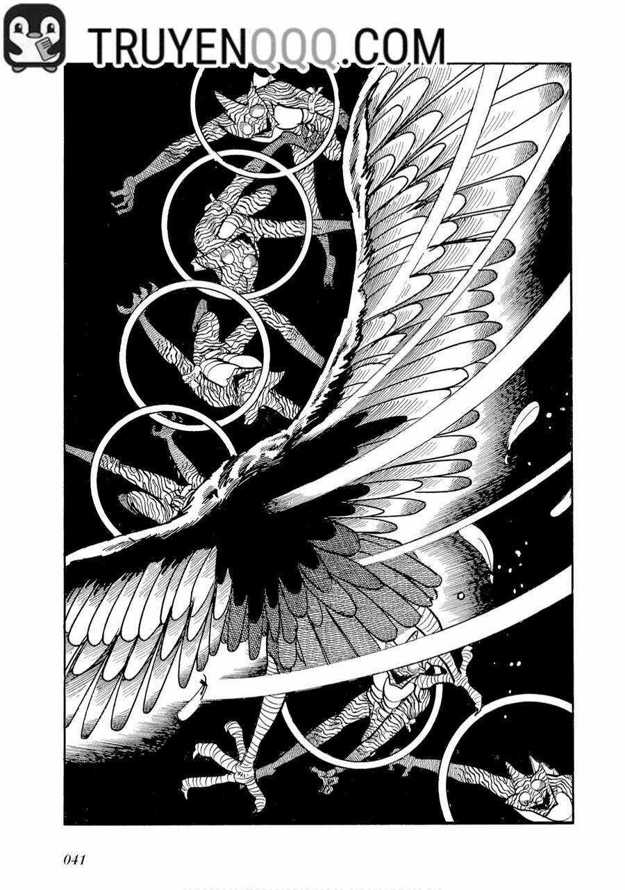 Giả Diện Kỵ Sĩ Amazon Chapter 2 trang 15