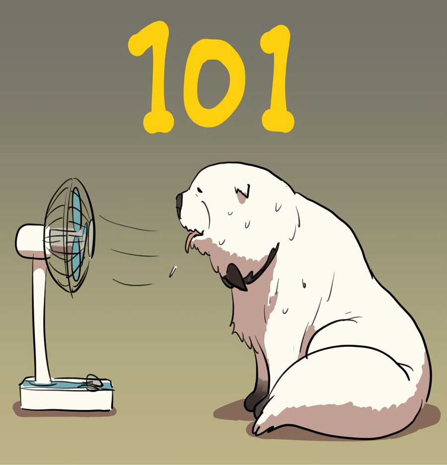 Gia Đình Điệp Viên Gói kỳ nghỉ gia đình Chapter 101 trang 2