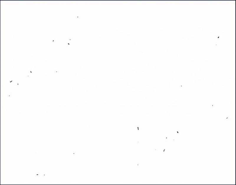 Gia Đình Điệp Viên Gói kỳ nghỉ gia đình Chapter 63.1 trang 3