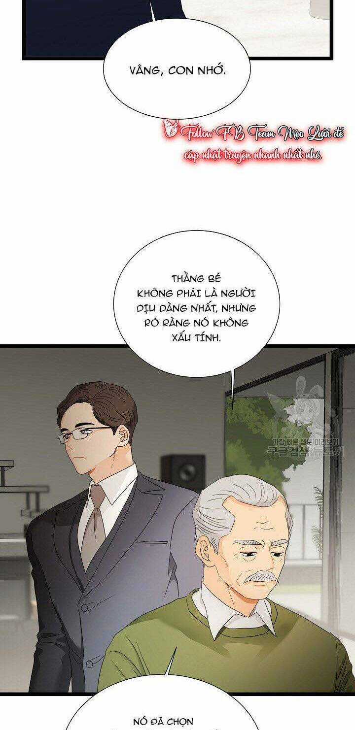 Giả Mạo Theo Phong Cách Chapter 105 trang 43