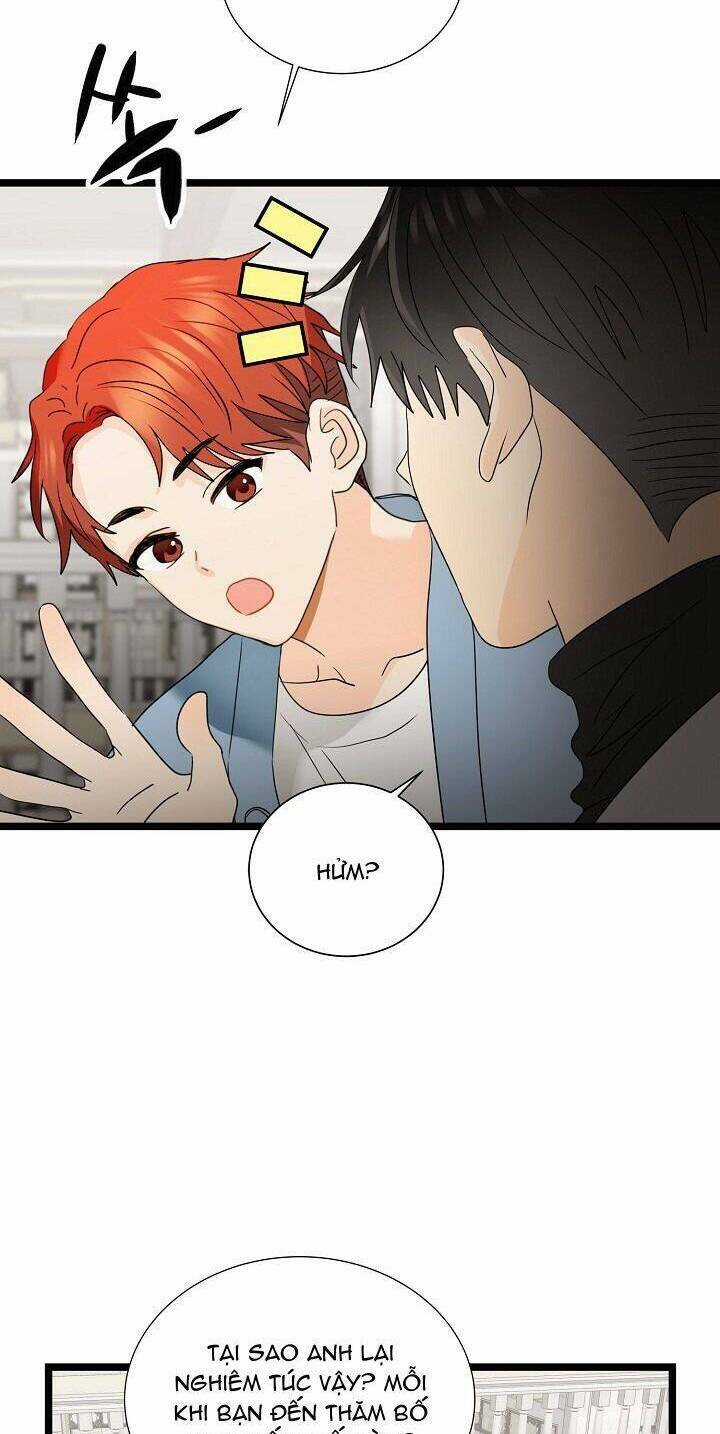 Giả Mạo Theo Phong Cách Chapter 106 trang 22