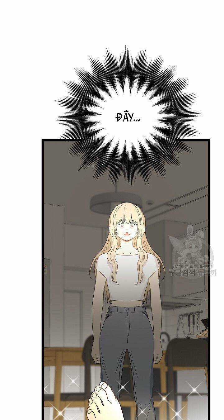 Giả Mạo Theo Phong Cách Chapter 108 trang 62