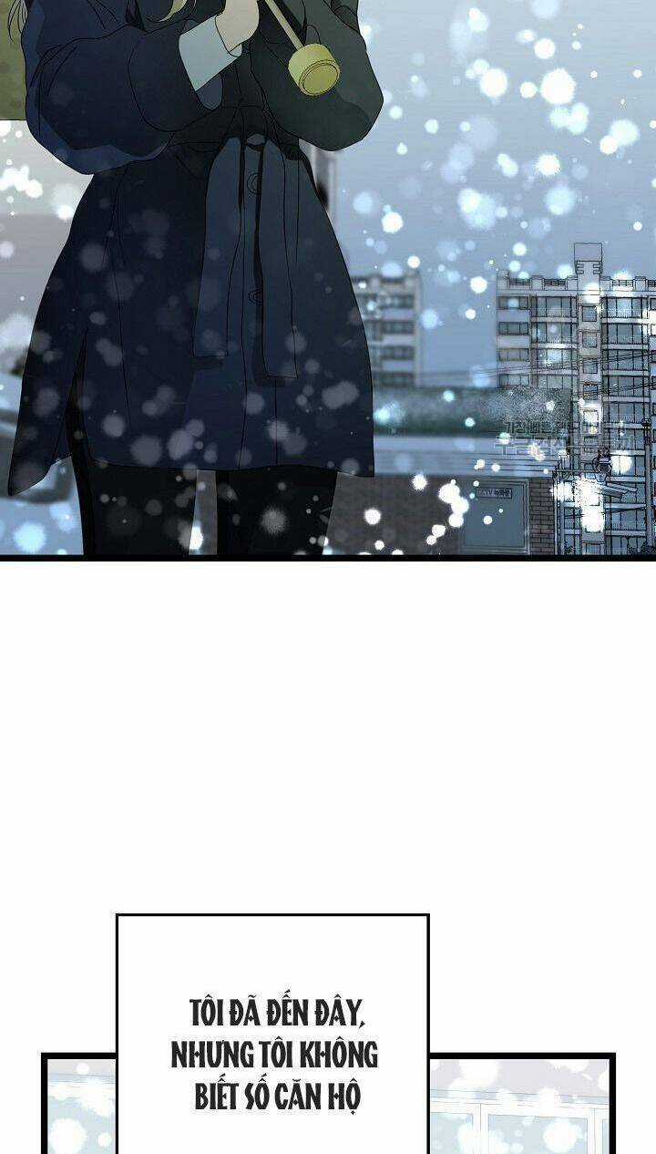 Giả Mạo Theo Phong Cách Chapter 113 trang 47