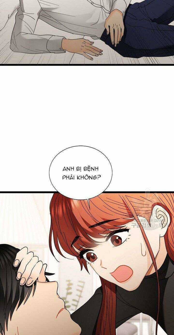 Giả Mạo Theo Phong Cách Chapter 115 trang 55