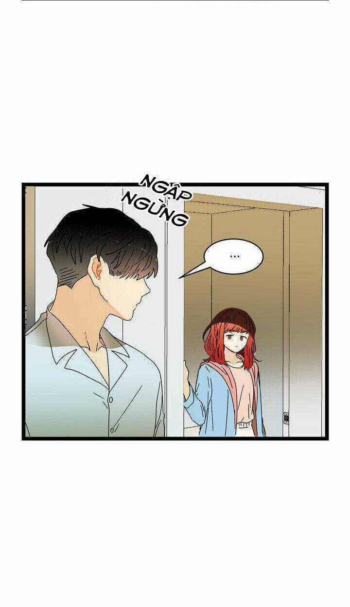 Giả Mạo Theo Phong Cách Chapter 25 trang 12