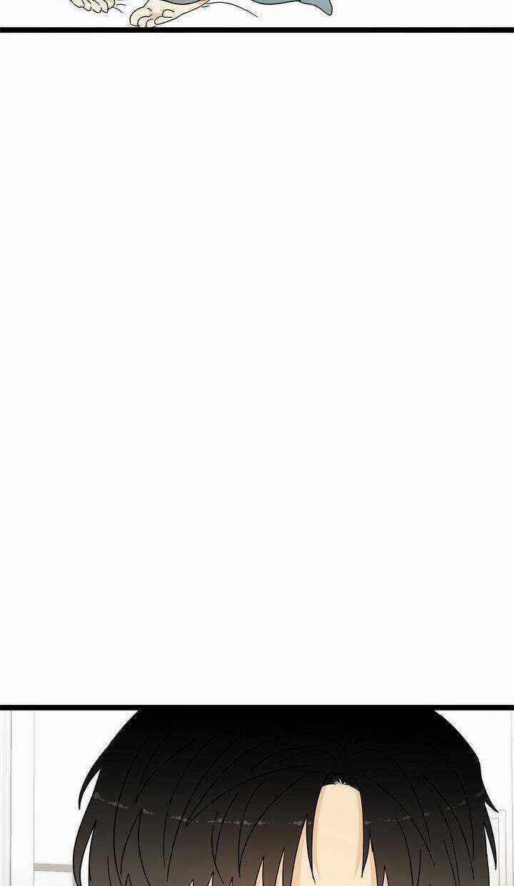 Giả Mạo Theo Phong Cách Chapter 26 trang 49