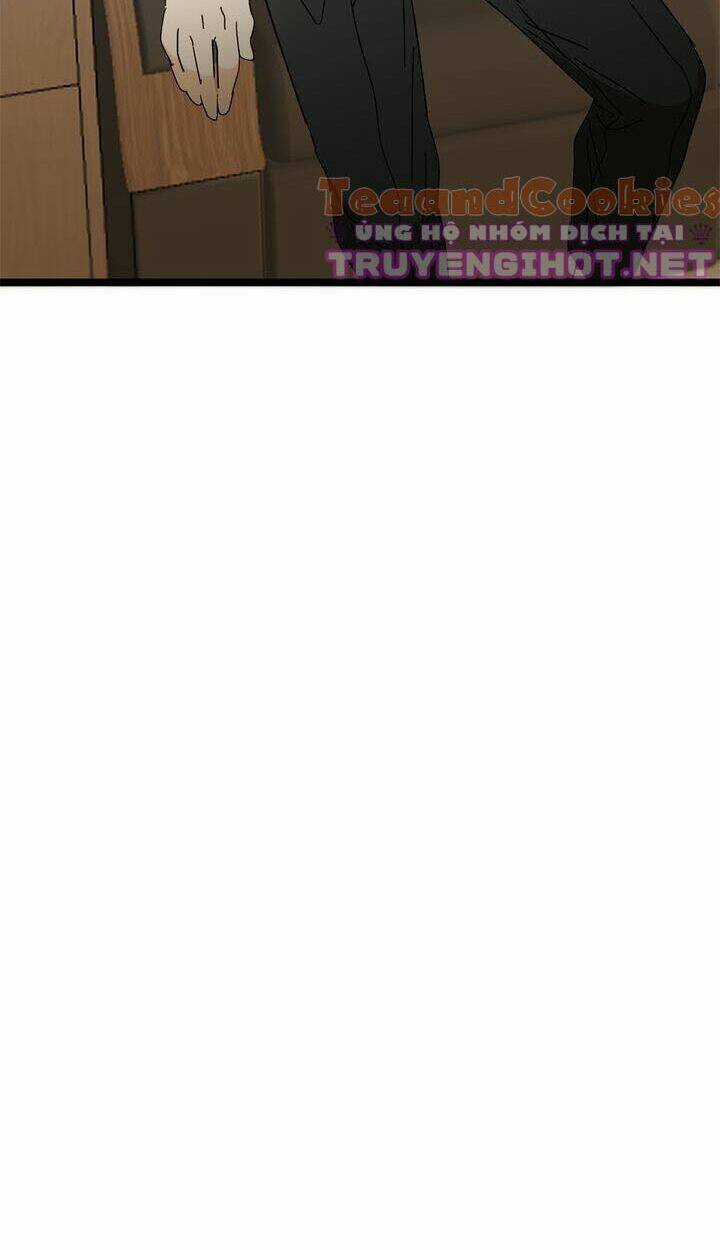 Giả Mạo Theo Phong Cách Chapter 28 trang 15