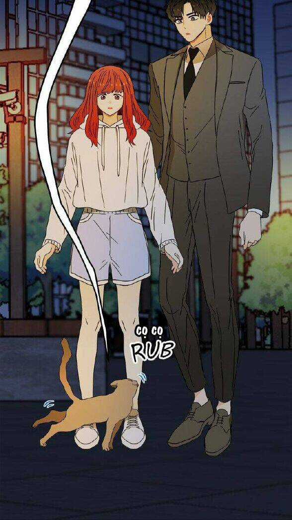 Giả Mạo Theo Phong Cách Chapter 35 trang 12